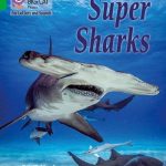 Collins Big Cat Phonics-For Letters and Sounds - Green Band 5: Super Sharks