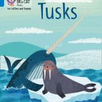 Collins Big Cat Phonics-For Letters and Sounds - Blue Band 4: Tusks