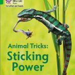 Collins Big Cat Phonics-For Letters and Sounds - Green Band 5: Animal Tricks: Sticking Power