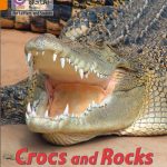 Collins Big Cat Phonics-For Letters and Sounds - Orange Band 6: Crocs and Rocks