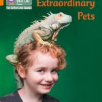 Collins Big Cat Phonics-For Letters and Sounds - Orange Band 6: Extraordinary Pets