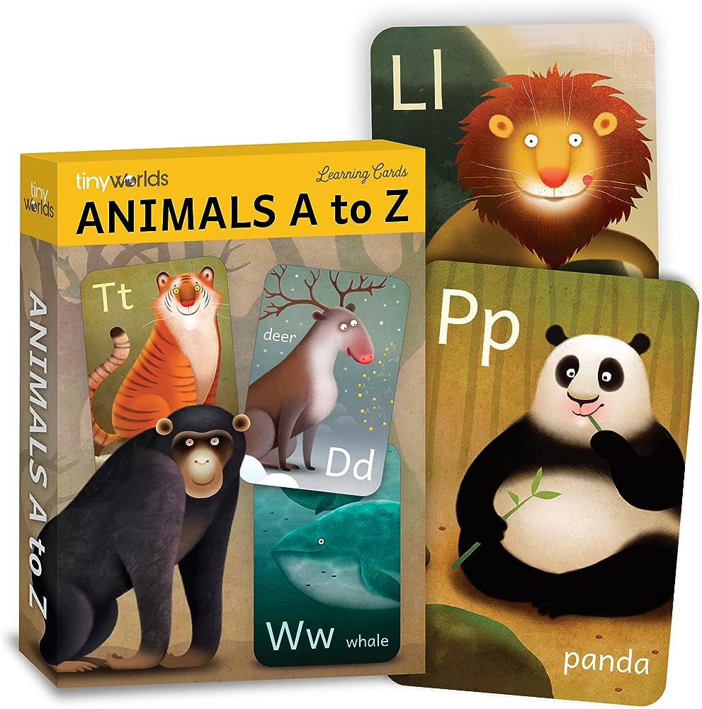 81wkiOaRcLL._AC_UF1000,1000_QL80_